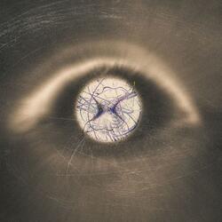 Awakening the Quiet Mind