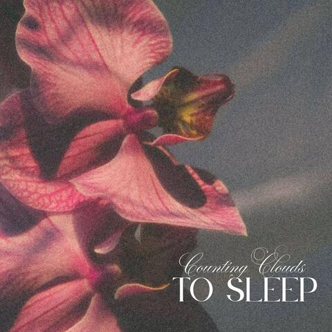 Counting Clouds to Sleep