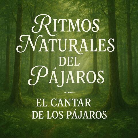 Ritmos Naturales del Bosque