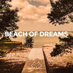 You Like to Fool Around