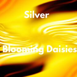 Blooming Daisies