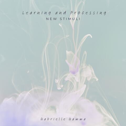 Learning and Processing New Stimuli