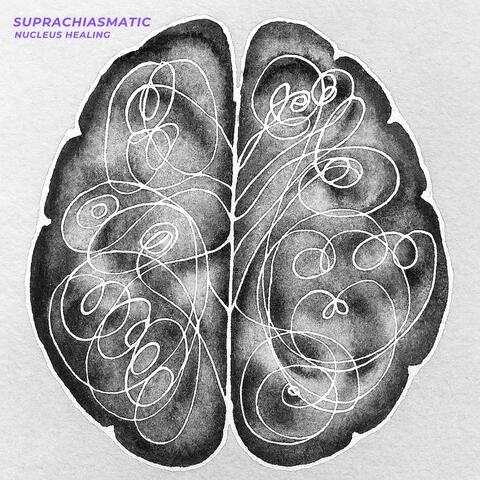 Suprachiasmatic Nucleus Healing