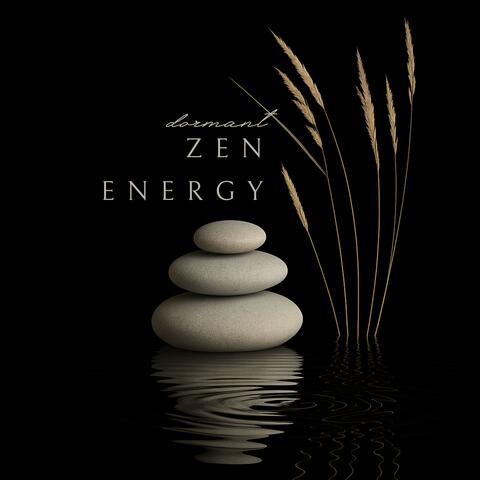 Dormant Zen Energy
