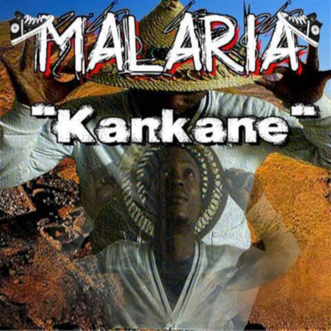 Kankane