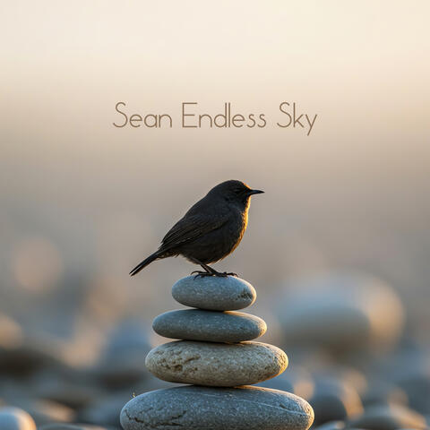 Insight Deepens Peace