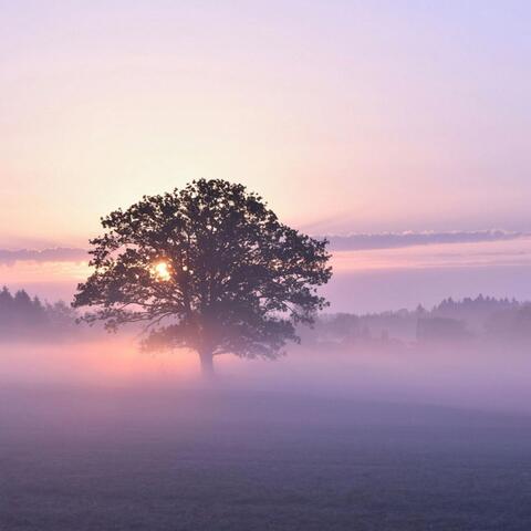 Silence Of The Soul