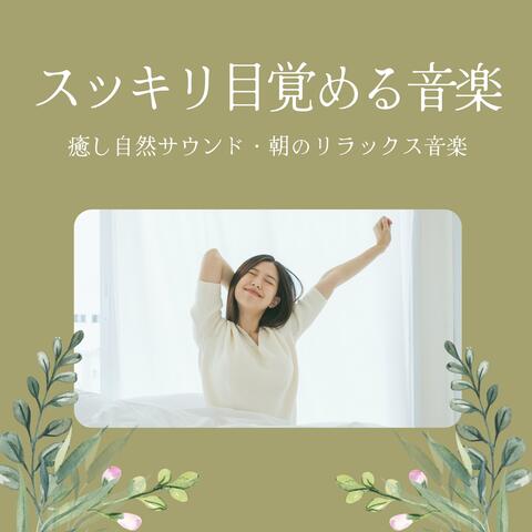 スッキリ目覚める音楽：癒し自然サウンド・朝のリラックス音楽