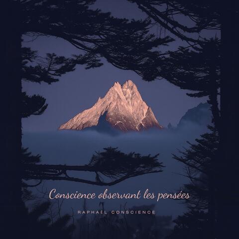 Conscience observant les pensées