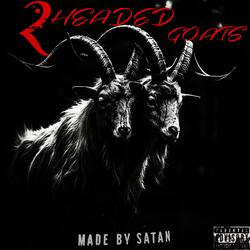 2 HEADED GOATS