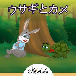 ウサギとカメ