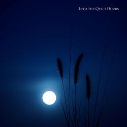 Beneath the Moon