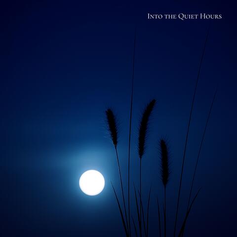 Into the Quiet Hours