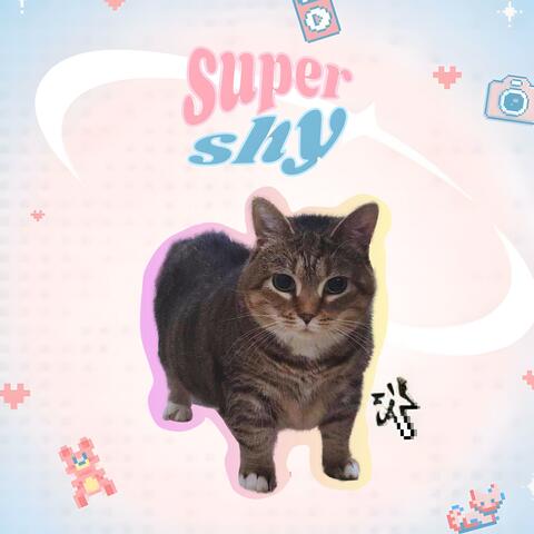Super Shy Oiia