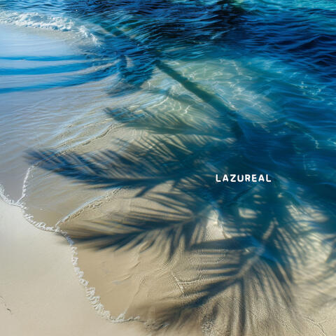 Lagoon Shoreline Days