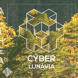 Cyber