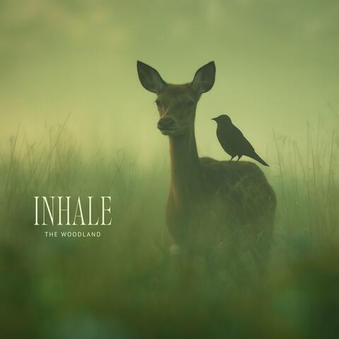 Inhale the Woodland