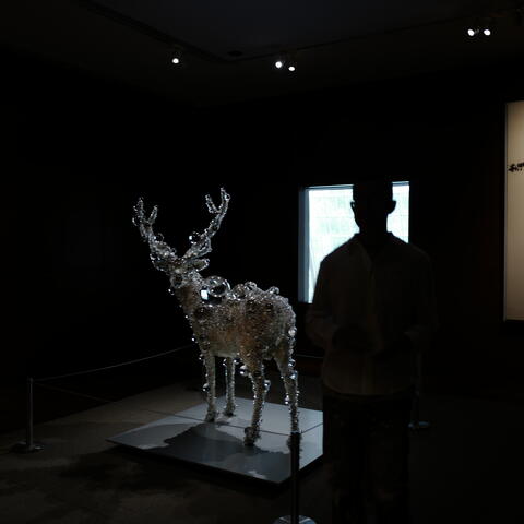 Summer Reads, Music Diary