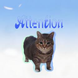 Attention Oiia
