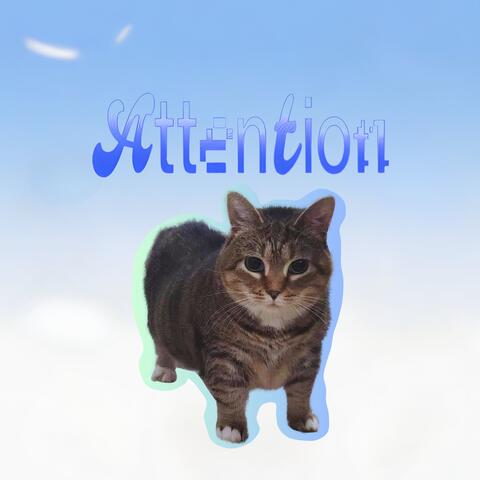 Attention Oiia
