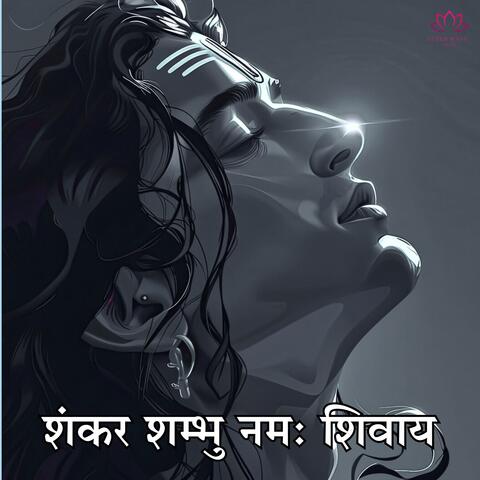 Shankar Shambhu namah shivay