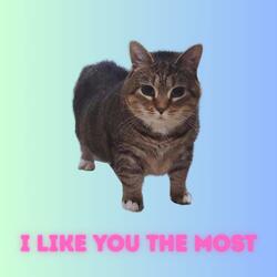 I Like You The Most Oiia