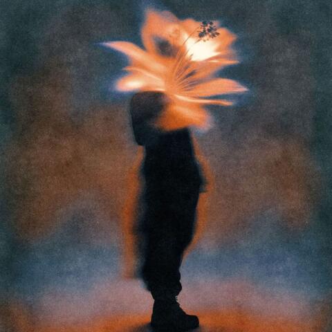 Elevation Soul