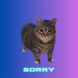 Sorry Oiia