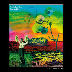 HEALSGEBEDDA BUDGERIGAR / NAAAAGH HA