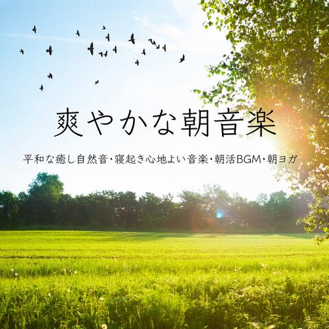 爽やかな朝音楽：平和な癒し自然音・寝起き心地よい音楽・朝活ＢＧＭ・朝ヨガ