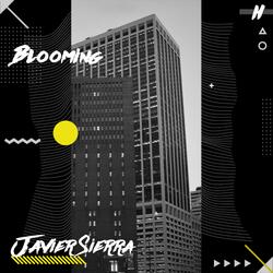 Blooming
