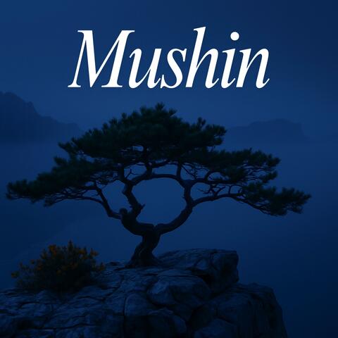 Mushin