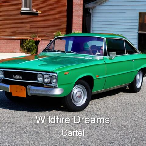 Wildfire Dreams