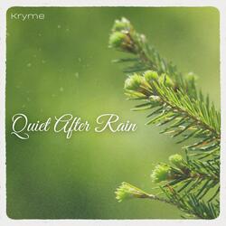 Quiet After Rain