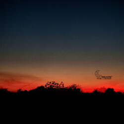 Before the First Light