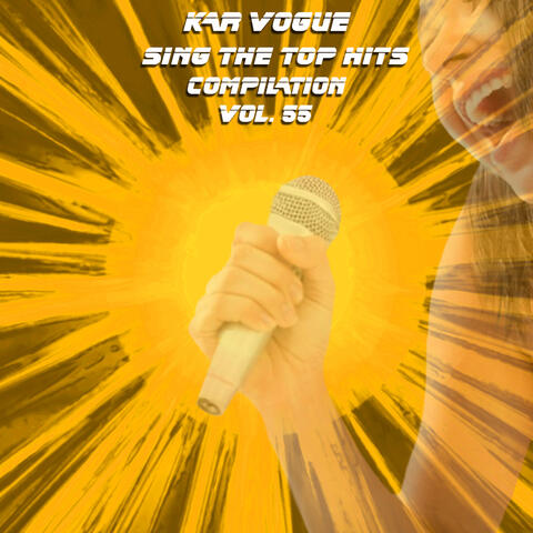 Sing The Top Hits, Vol. 55