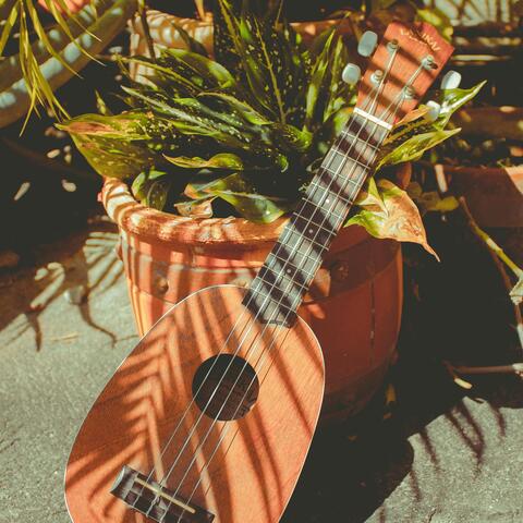 In the Skin of the Wind