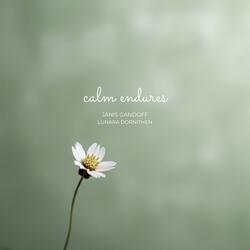 Calm Fields