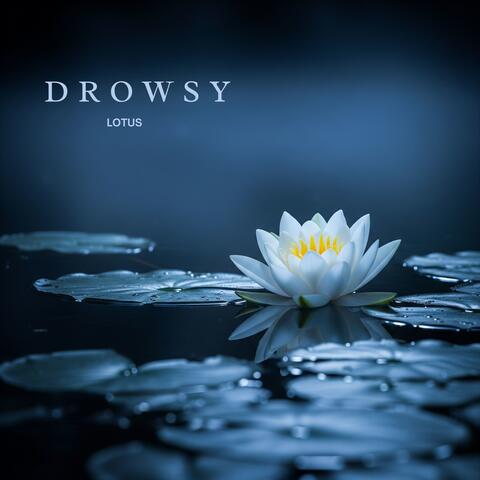 Drowsy Lotus