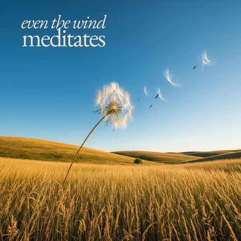 Even the Wind Meditates
