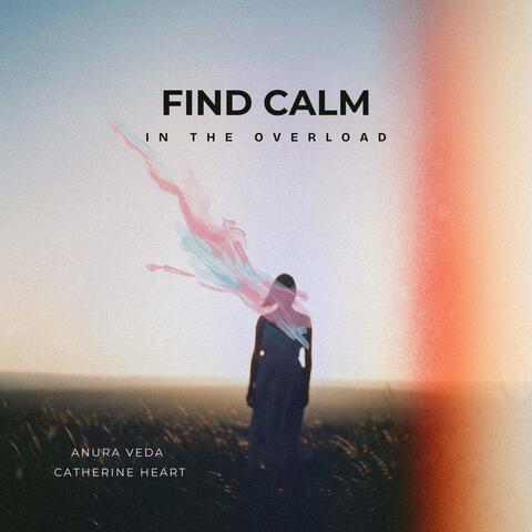 Find Calm in the Overload