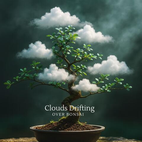 Clouds Drifting Over Bonsai