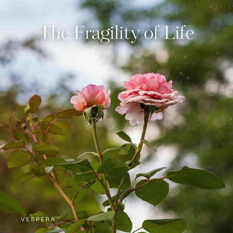 The Fragility of Life