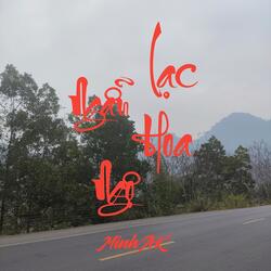 Lạc Hoa Ngẫu Ngộ