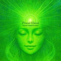 Bridge to Higher Realms