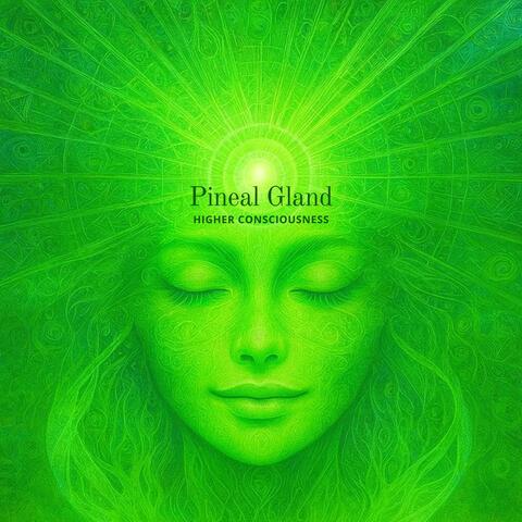 Pineal Gland Higher Consciousness