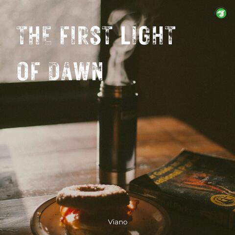The First Light of Dawn
