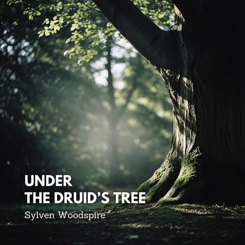 Under the Druid’s Tree
