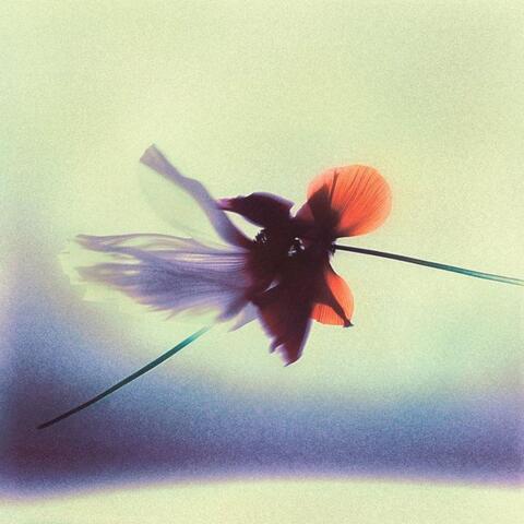 The Calm Of The Soul