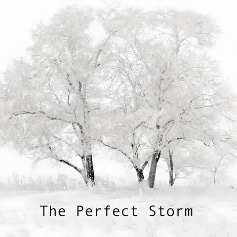 In The Perfect Storm